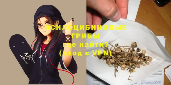 стафф Семилуки
