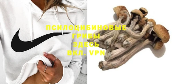 индика Семикаракорск
