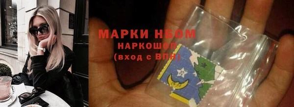 индика Семикаракорск