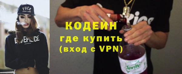 индика Семикаракорск