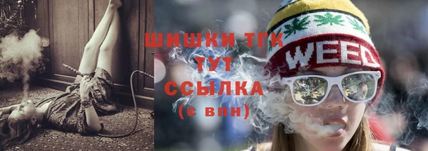 индика Семикаракорск