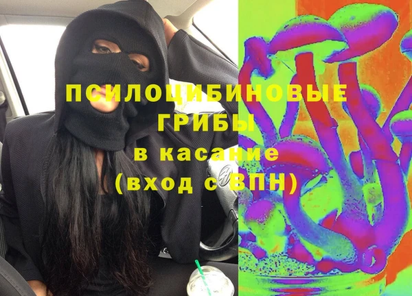 индика Семикаракорск