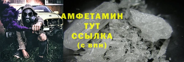 индика Семикаракорск