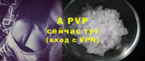 индика Семикаракорск